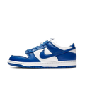 Dunk Low
