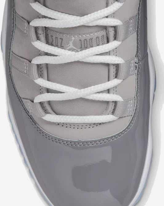 Air Jordan 11 Retro Cool Grey (2021)