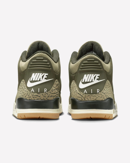 Air Jordan 3 Retro Family Affair
