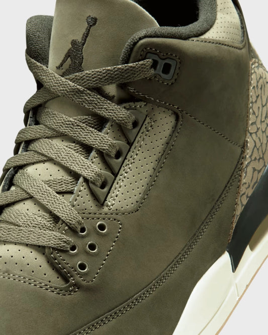 Air Jordan 3 Retro Family Affair