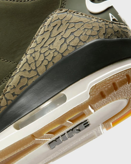 Air Jordan 3 Retro Family Affair