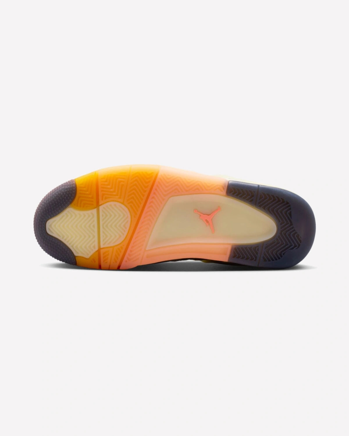Air Jordan 4 Retro Birds of Paradise