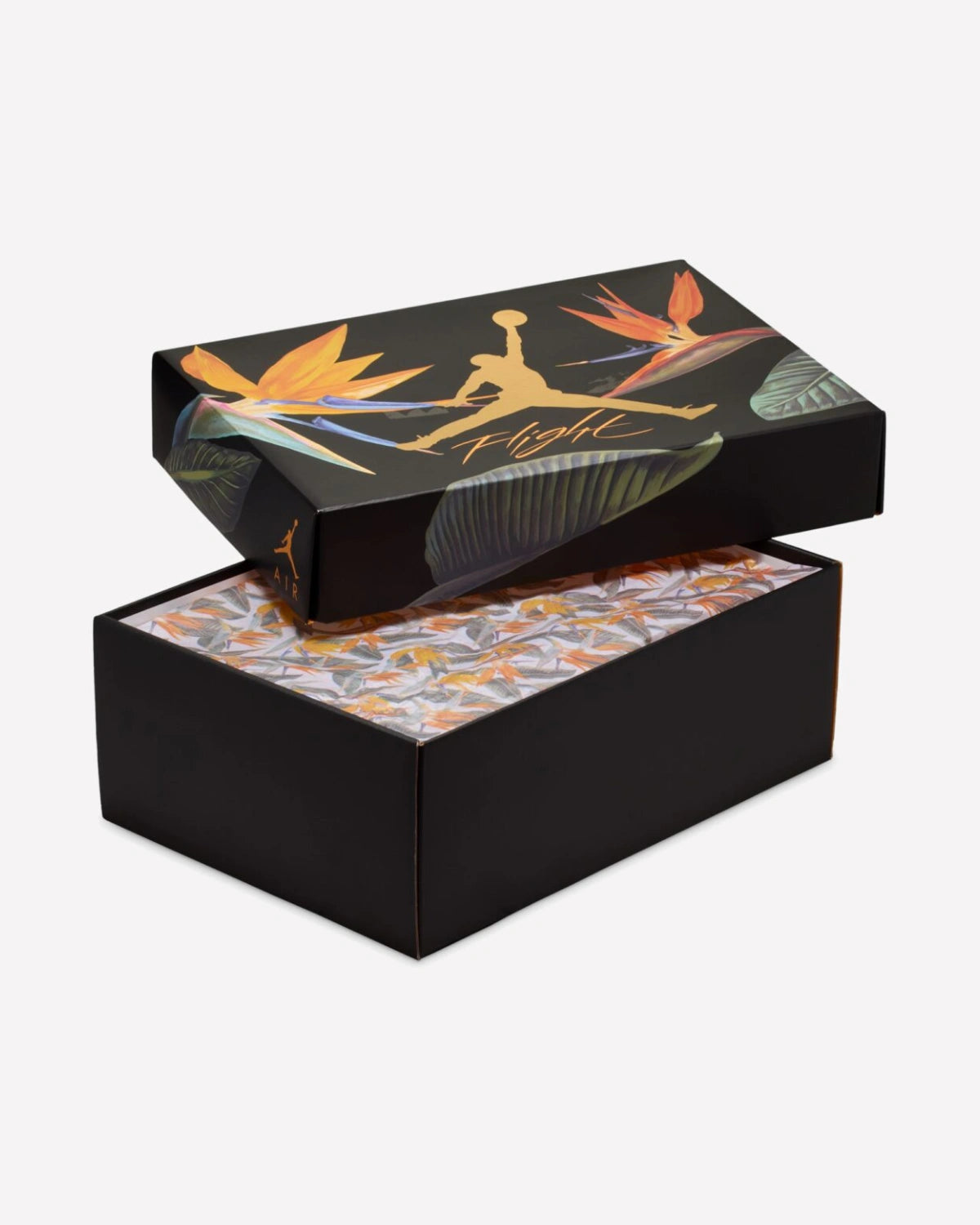 Air Jordan 4 Retro Birds of Paradise