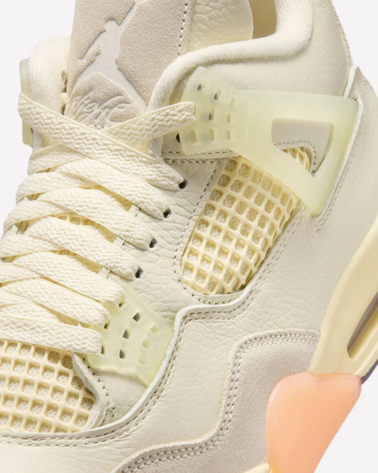 Air Jordan 4 Retro Birds of Paradise
