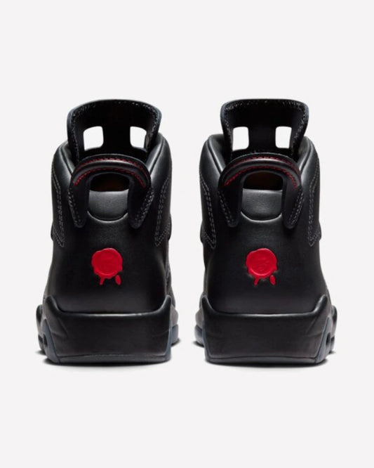 Air Jordan 6 Retro Bin23