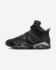Air Jordan 6 Retro Cap and Gown