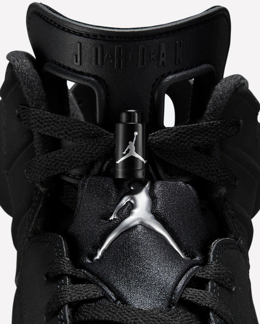 Air Jordan 6 Retro Chrome