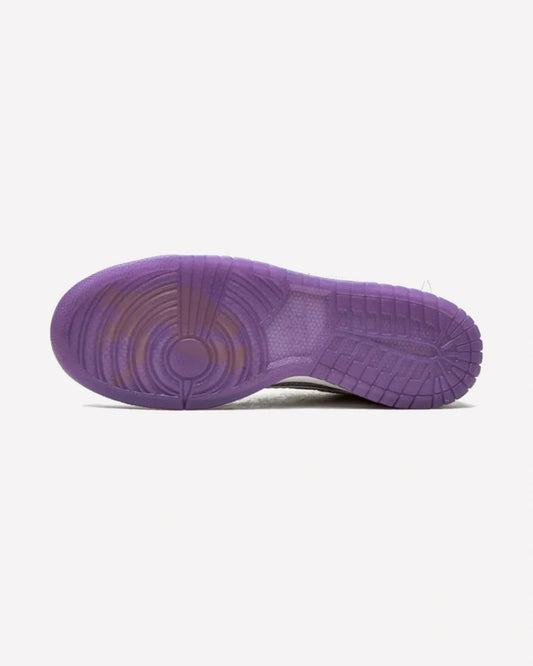 Nike Dunk Low Union Passport Pack Court Purple