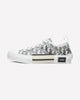 Dior B23 Low Top Logo Oblique