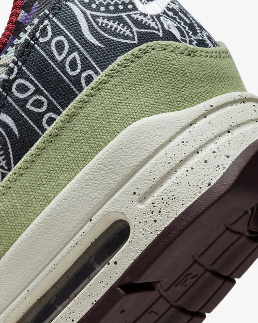 Nike Air Max 1 SP Concepts Mellow