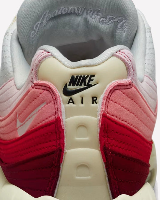 Nike Air Max 95 Anatomy of Air GID