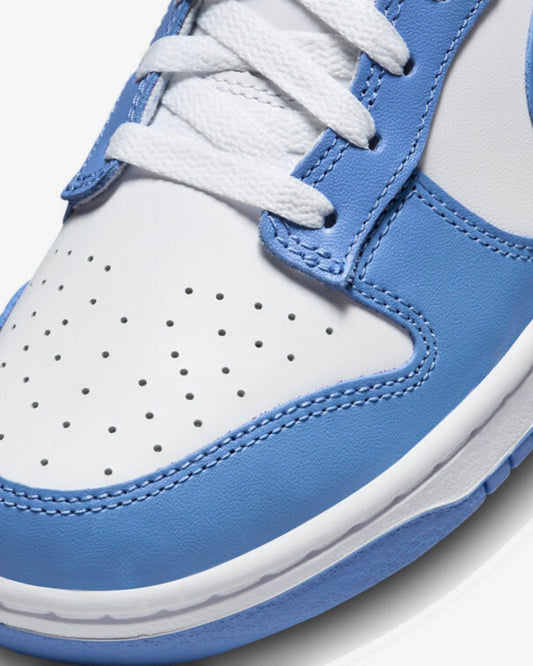 Nike Dunk Low Polar Blue