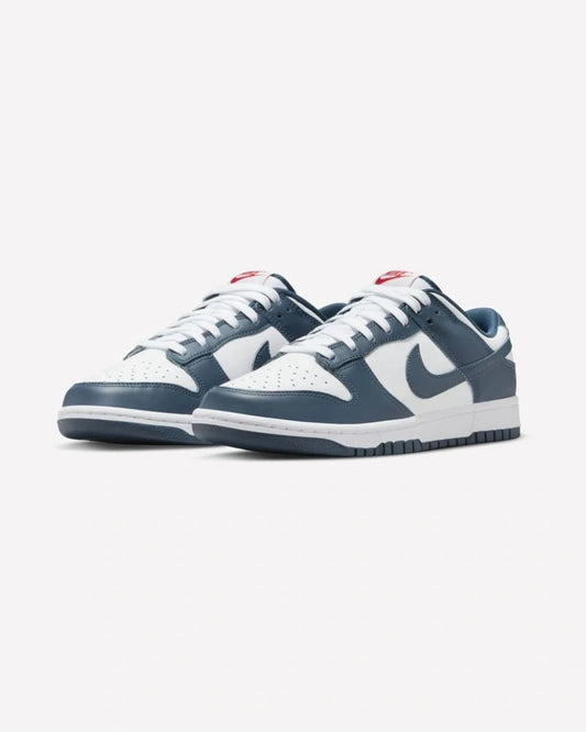 Nike Dunk Low Valerian Blue