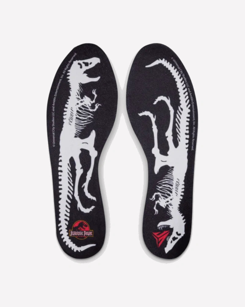 Nike Ja 3 Jurassic Park Raptor