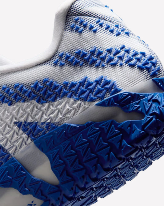 Nike Ja 3 TB White Game Royal