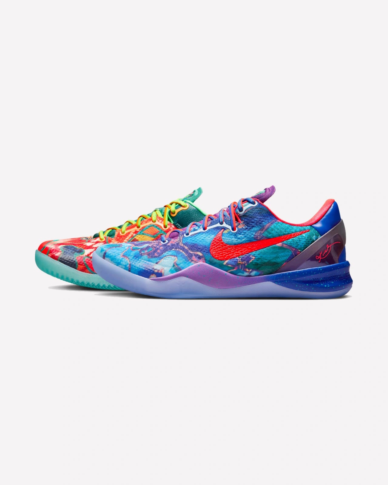 Nike Kobe 8 Protro What The (2025)