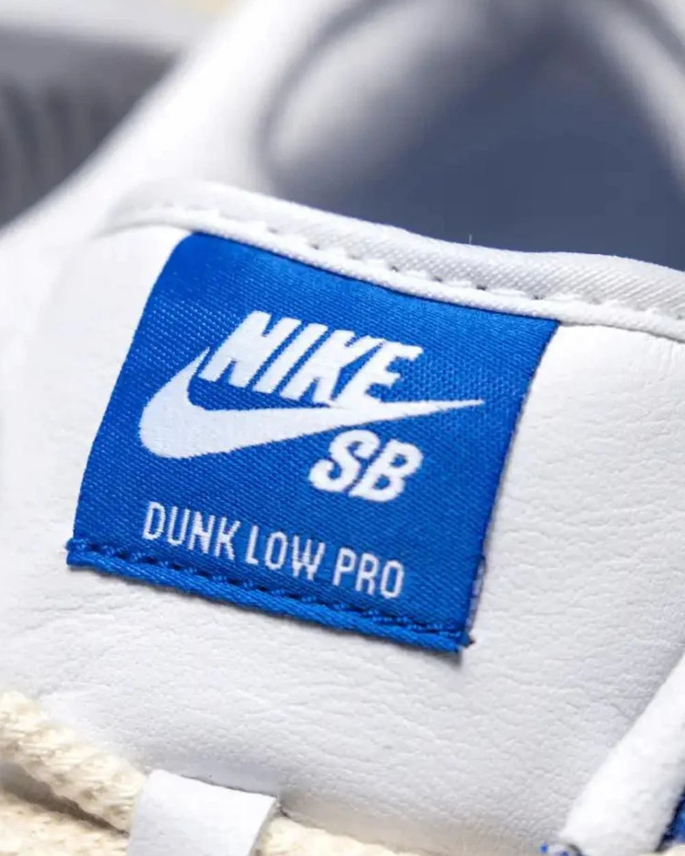 Nike SB Dunk Low Pro Fly Streetwear Gardenia