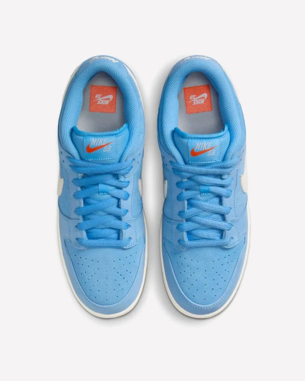 Nike SB Dunk Low Pro University Blue Gum — vista del talón