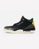 Air Jordan 3 Retro SE Animal Instinct 2.0