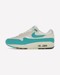 Nike Air Max 1 Dusty Cactus