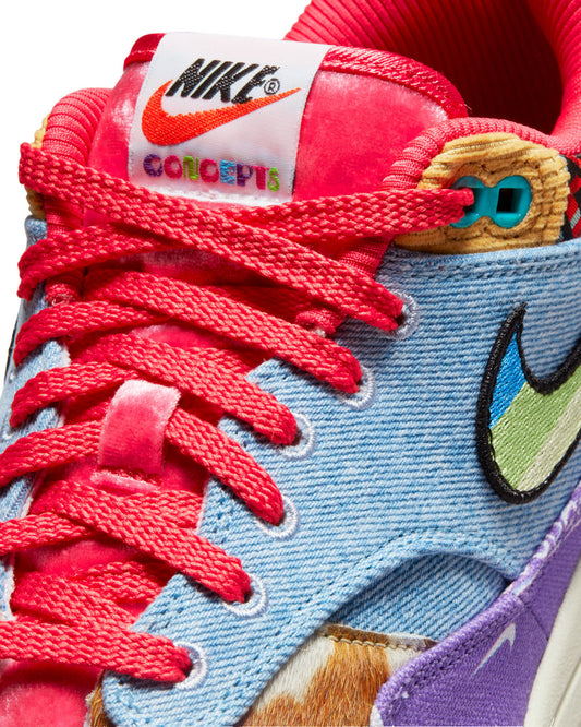 Nike Air Max 1 SP Concepts Far Out — detalle del Swoosh