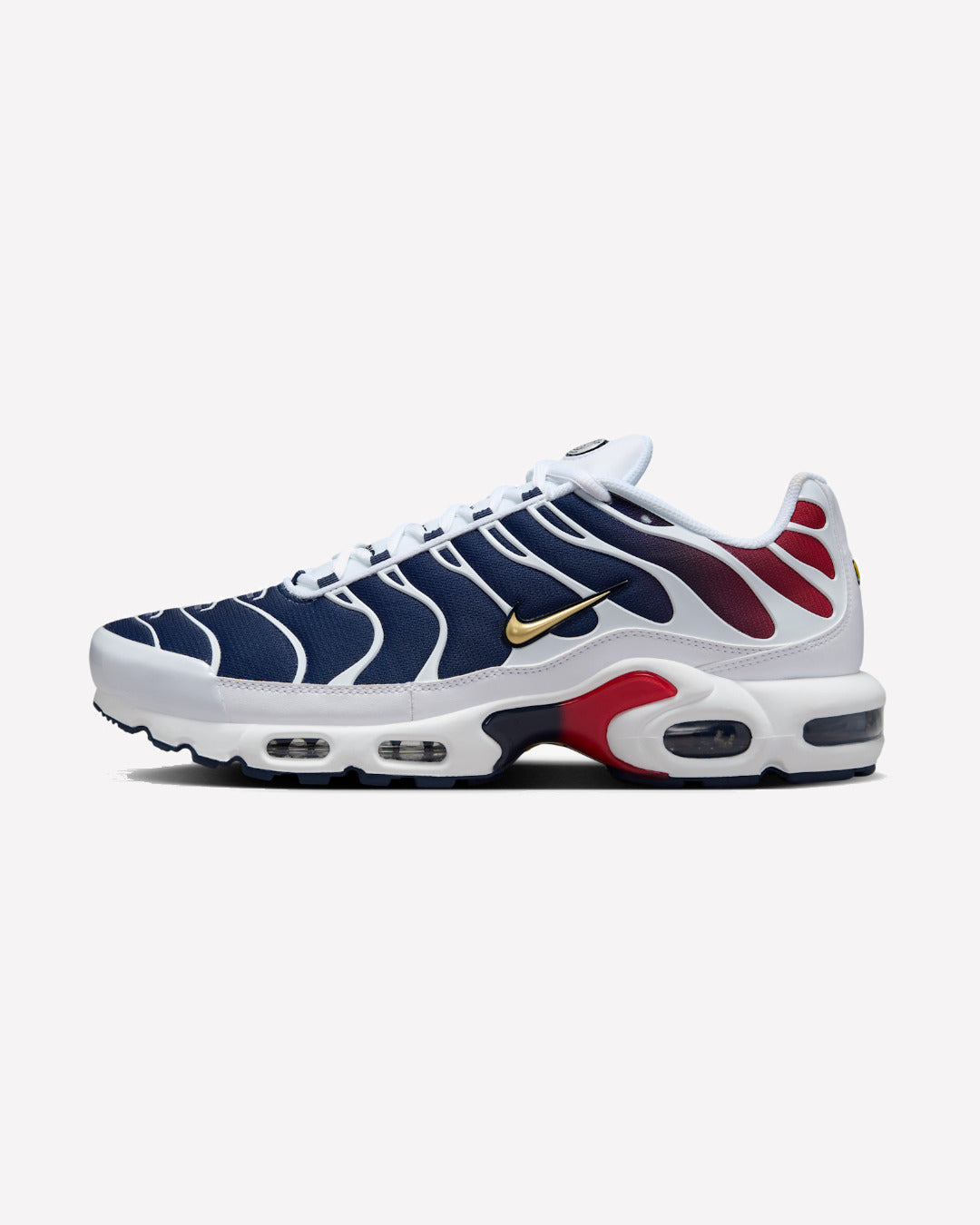 Nike Air Max Plus PSG