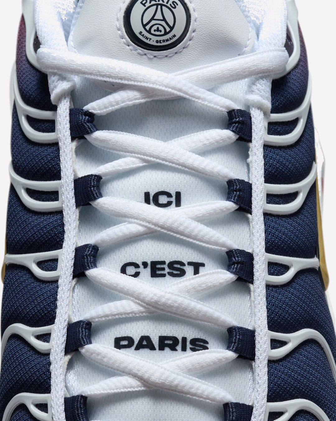 Nike Air Max Plus PSG