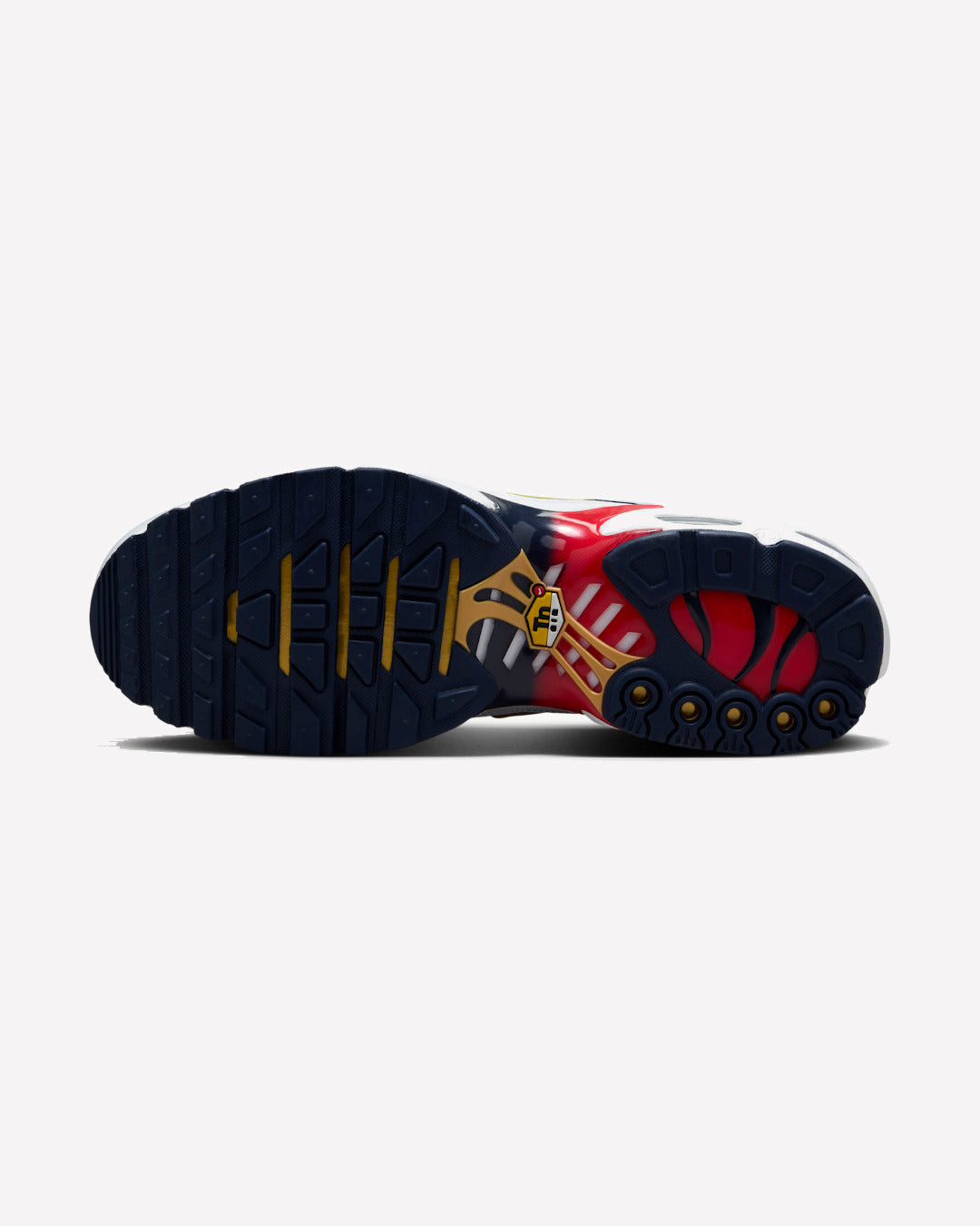 Nike Air Max Plus PSG