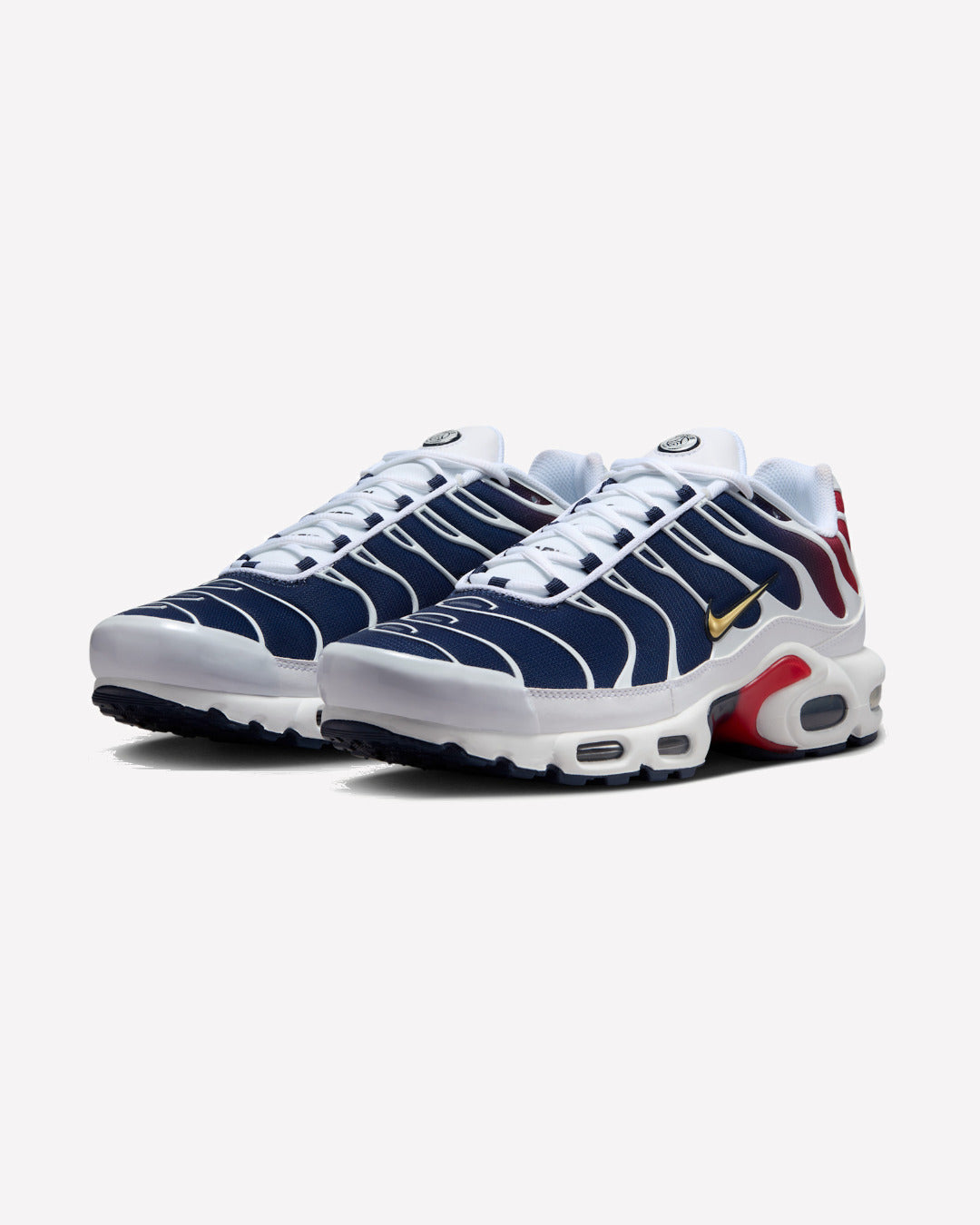 Nike Air Max Plus PSG