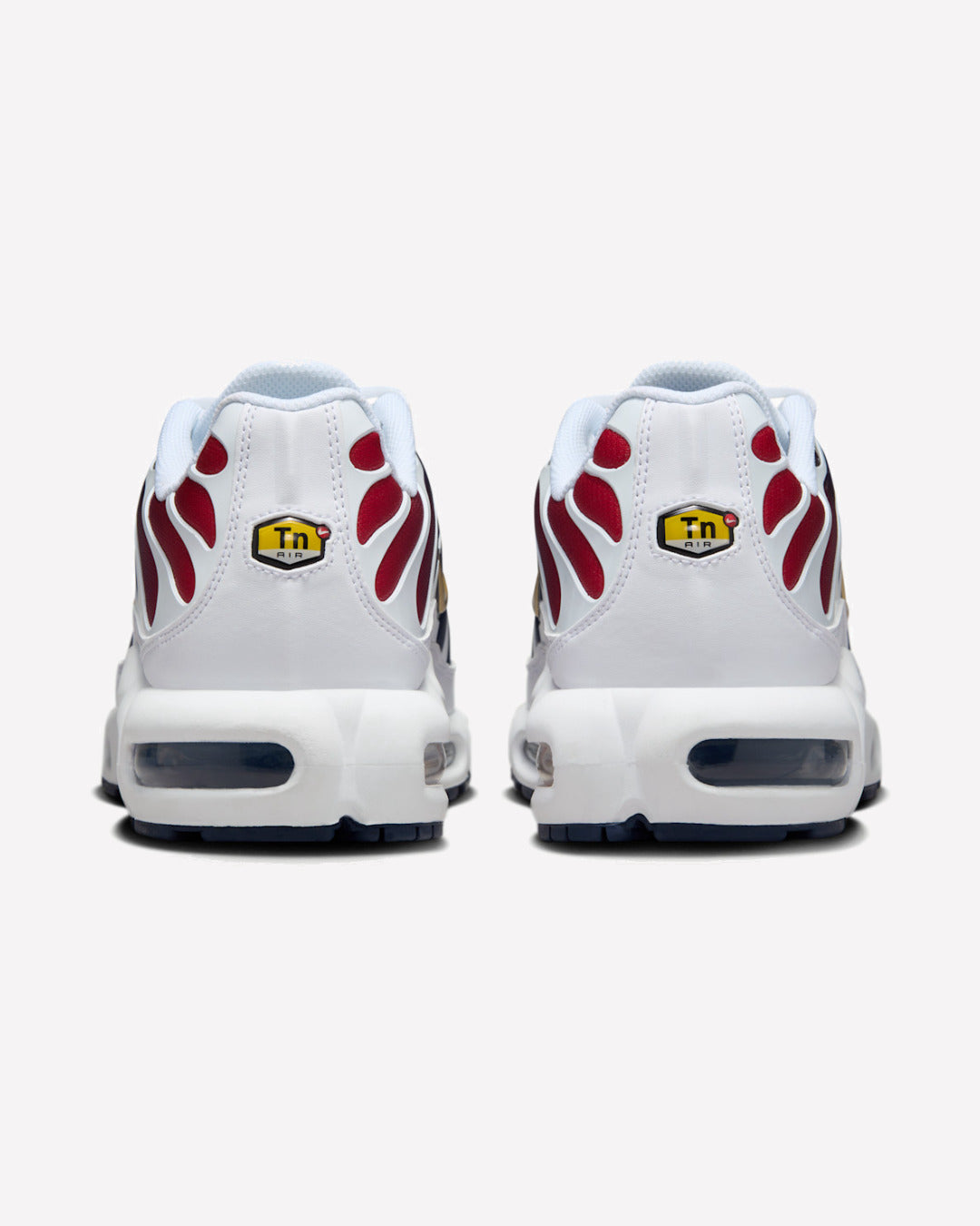 Nike Air Max Plus PSG