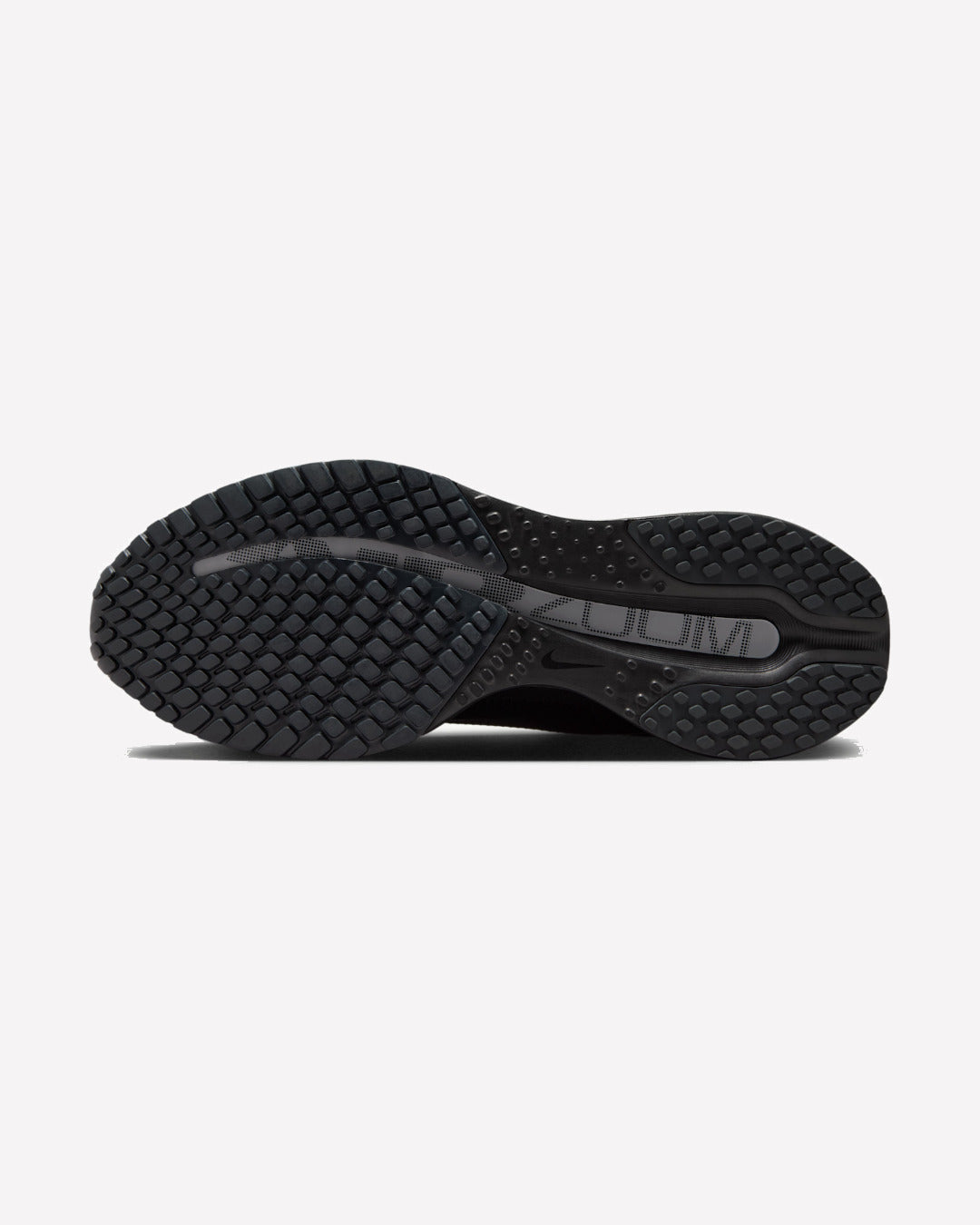 Nike Air Zoom Pegasus Premium SP Black Metallic Silver — par completo