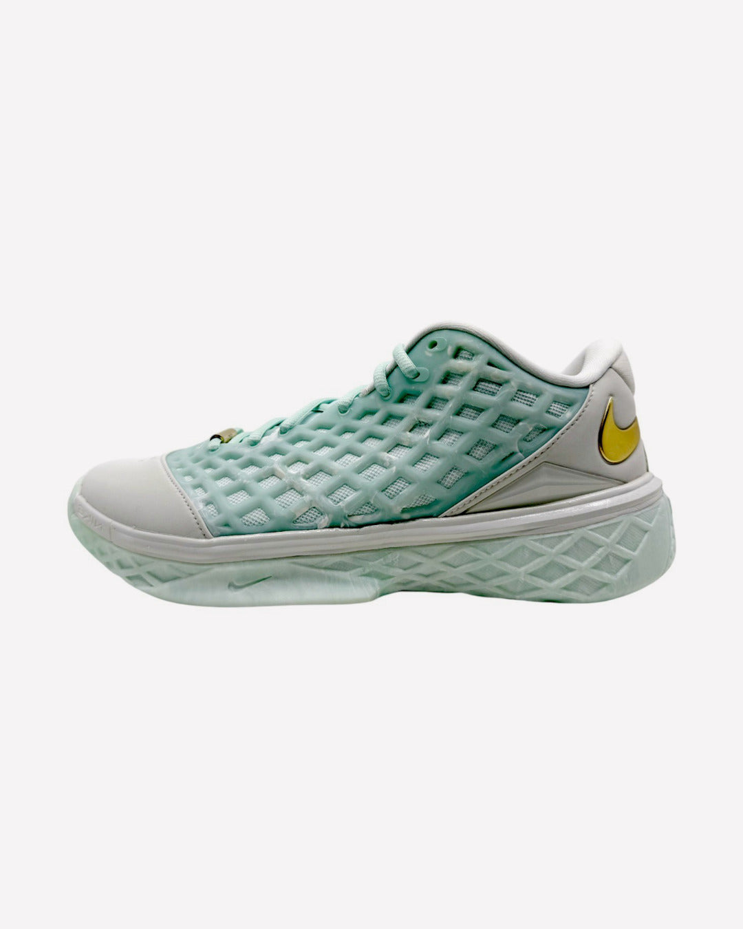 Nike Kobe 3 Low Protro CHBL